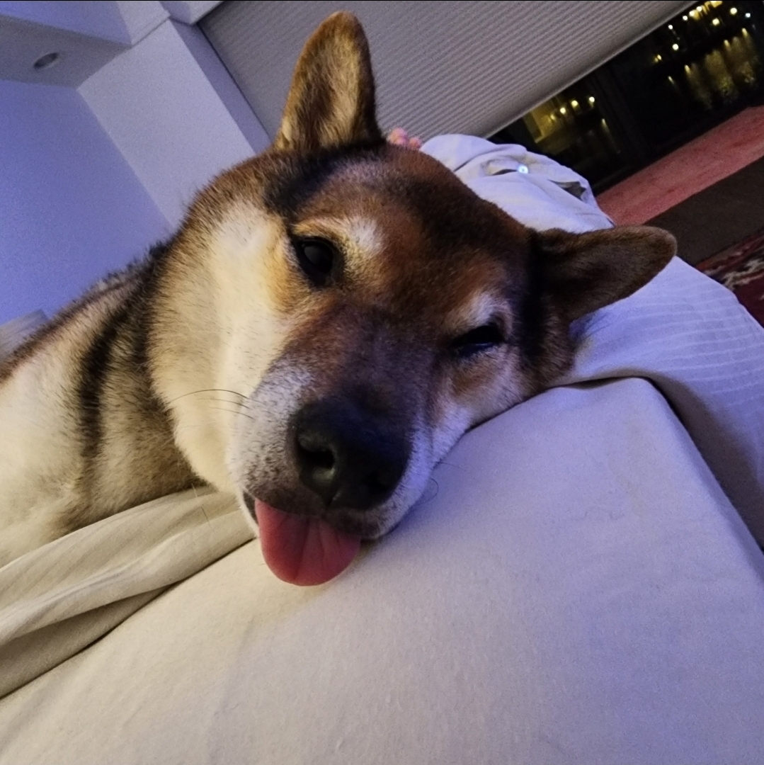 Yoshi with his tongue out