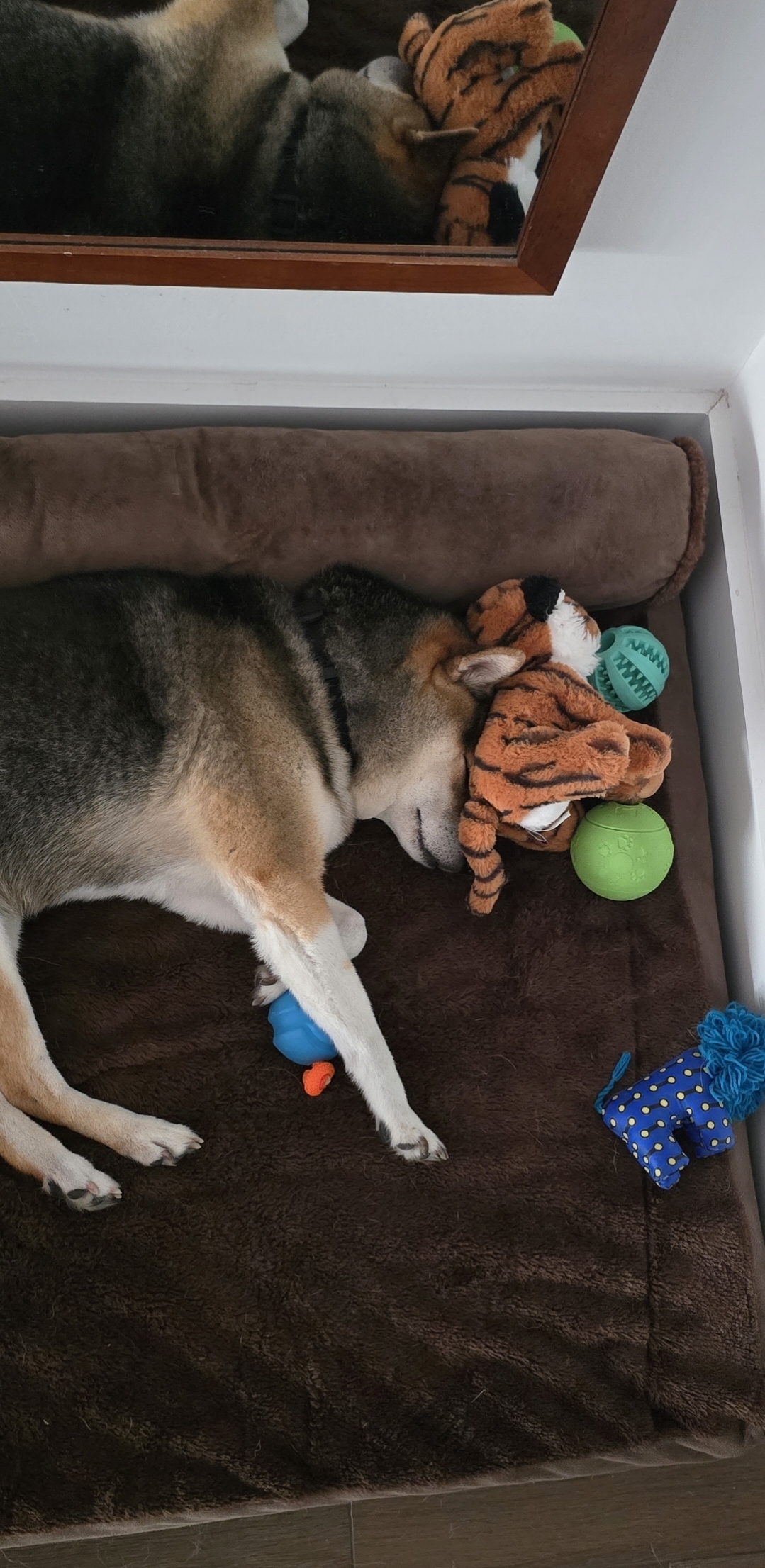 Yoshi sleeping with toys