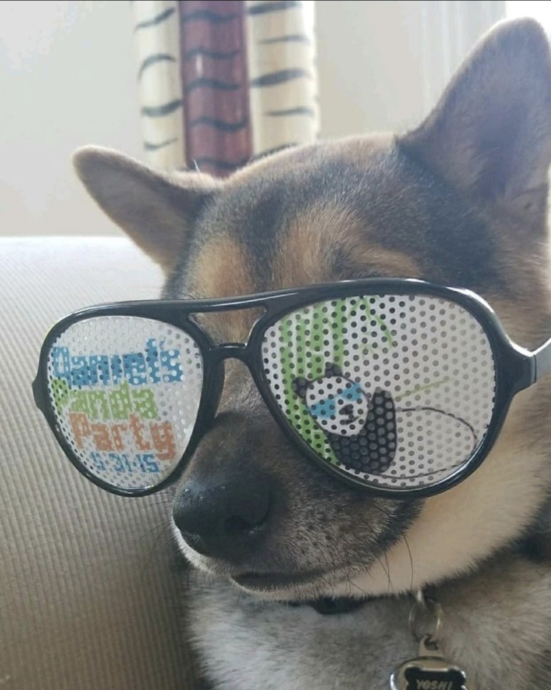 Yoshi wearing shutter shades